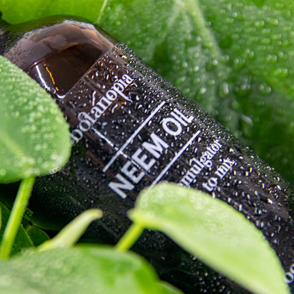 neem oil - ready to mix
