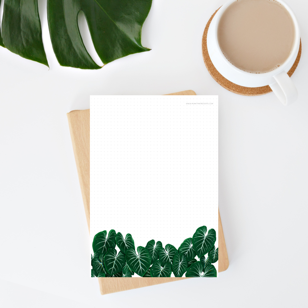 Notepad - Philodendron Gloriosum A6