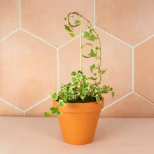 Load image into Gallery viewer, Plant Stake Mini - Perch - Gold
