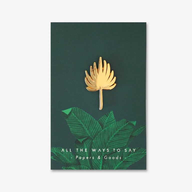 pin plant plants planten badge cactus vetplant succulent