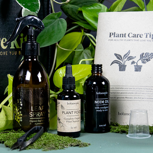 plant care kit