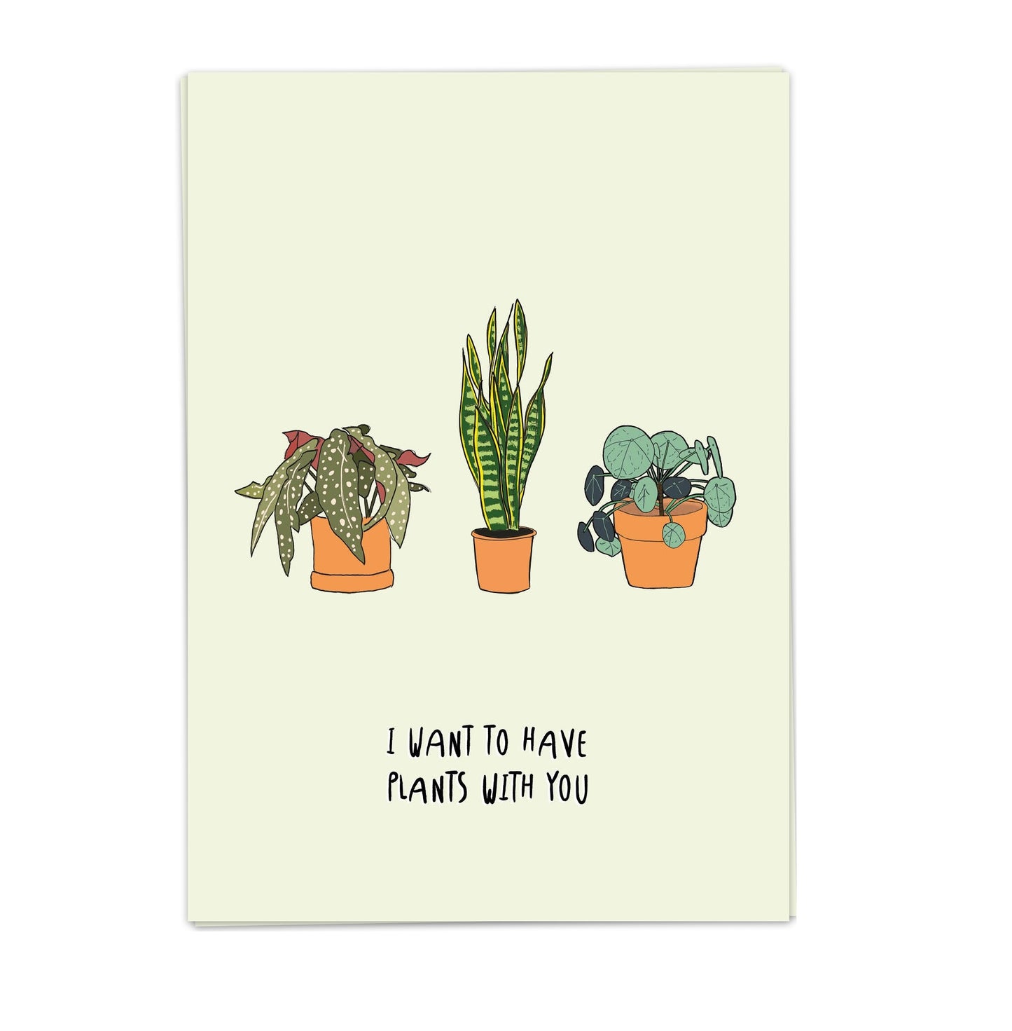 kaartje cactus planten plantlover plantenliefhebber plants