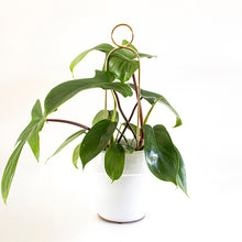 Load image into Gallery viewer, Plant Stake Mini - Pompom - Gold