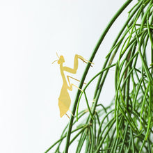 Load image into Gallery viewer, Plant Animal - Praying Mantis