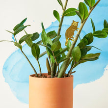 Load image into Gallery viewer, Plant Animal - Raccoon