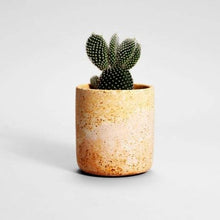 Load image into Gallery viewer, Medio Candle/Pot - Rusted Pink
