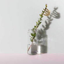 Load image into Gallery viewer, Plant Animal - Sloth