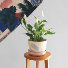 Load image into Gallery viewer, Splash Planter