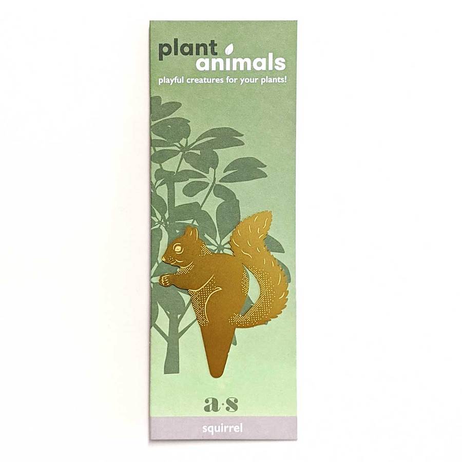 Plantendiertje - Eekhoorn