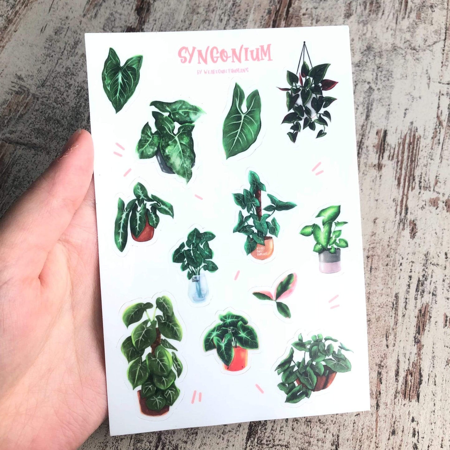 Stickervel - Syngonium