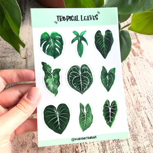 Stickervel - Tropische Blaadjes