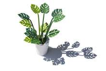 Load image into Gallery viewer, Tropical Party Set