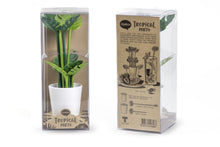 Load image into Gallery viewer, Tropical Party Set