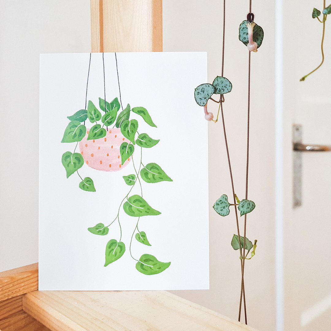 Postkaart - Hangplantje