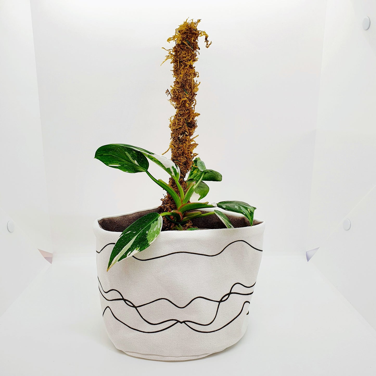 Plantenkleding - Sandy Botanic Black