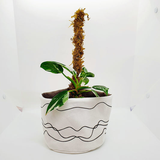 Plantenkleding - Sandy Botanic Black