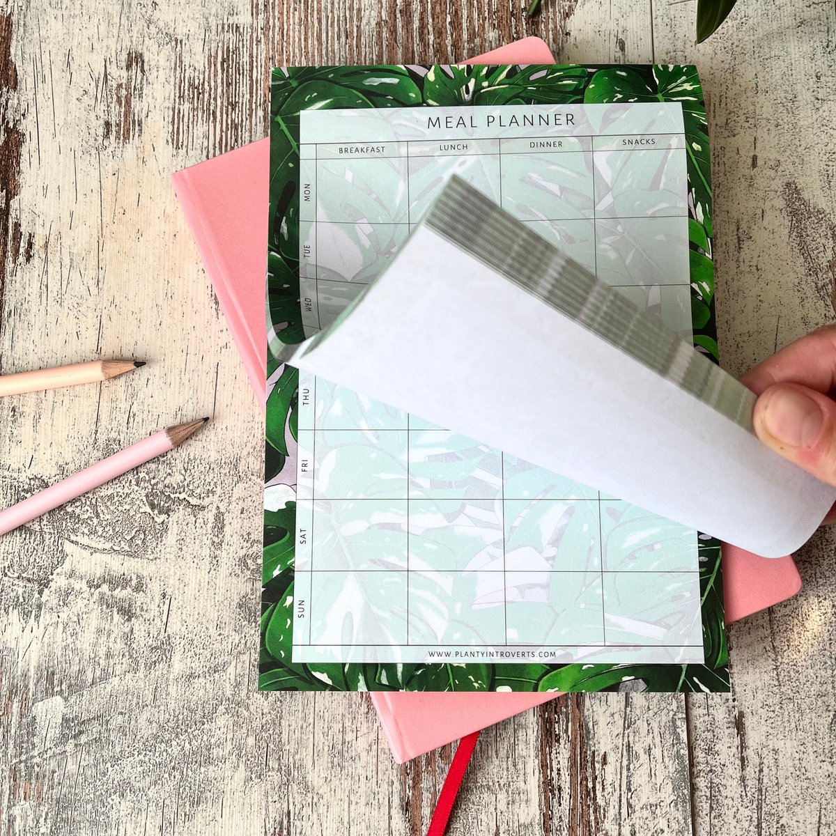 Meal Planner - Thai Constellation