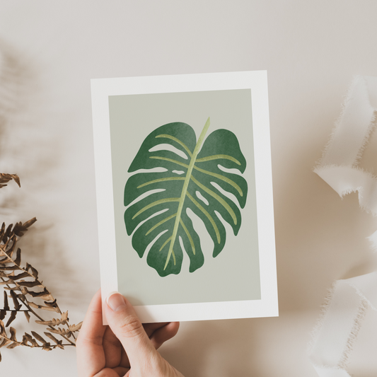 Kaart - Monstera