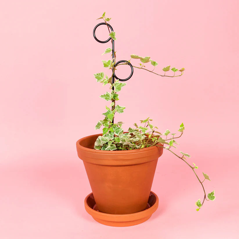 Plantensteun Mini Set - Zwart