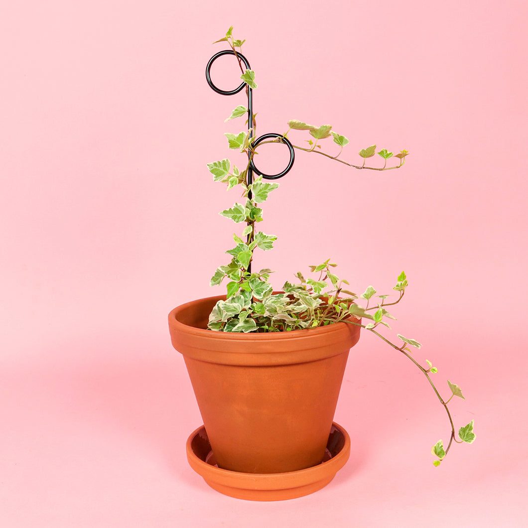 Plant Stake Mini - Perch - Black