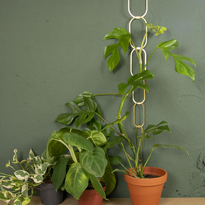 Ketting voor Klimplanten - Messing