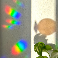 Load image into Gallery viewer, Rainbow Maker - Monstera Leaf with Cat
