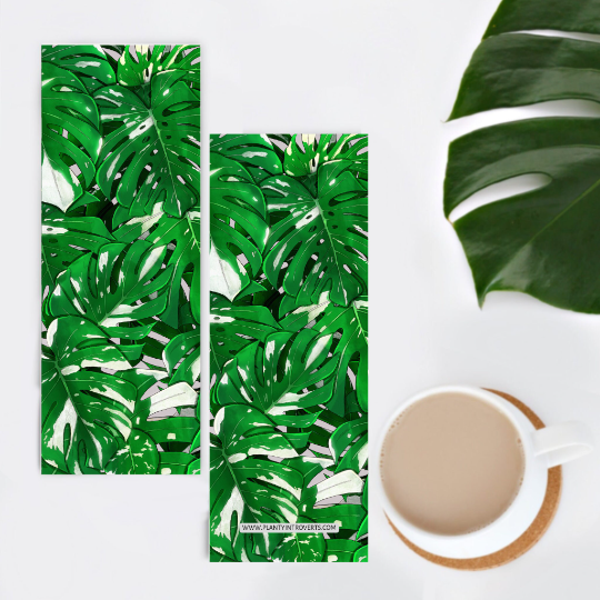 Bladwijzer - Monstera Variegata