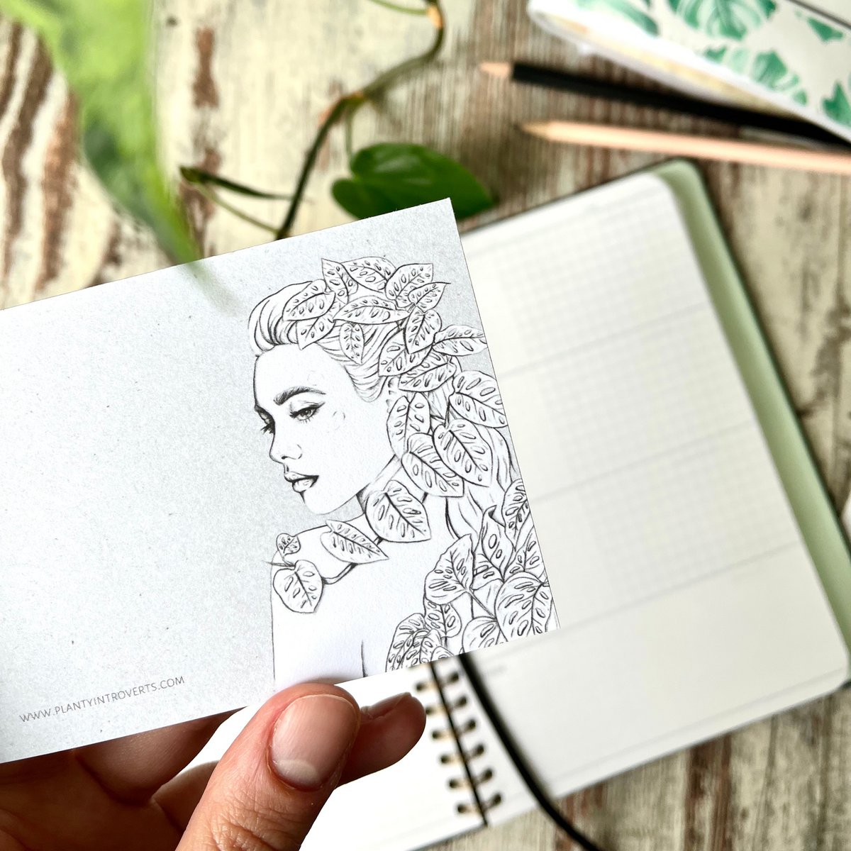 Notepad A7 - Monstera Adansonii