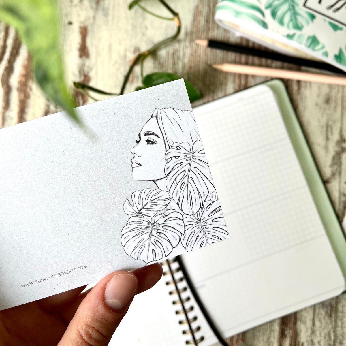 Notepad A7 - Monstera Deliciosa