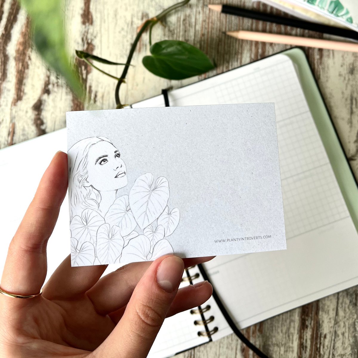 Notepad A7 - Philodendron Gloriosum
