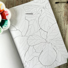 Load image into Gallery viewer, Coloring Book Houseplants
