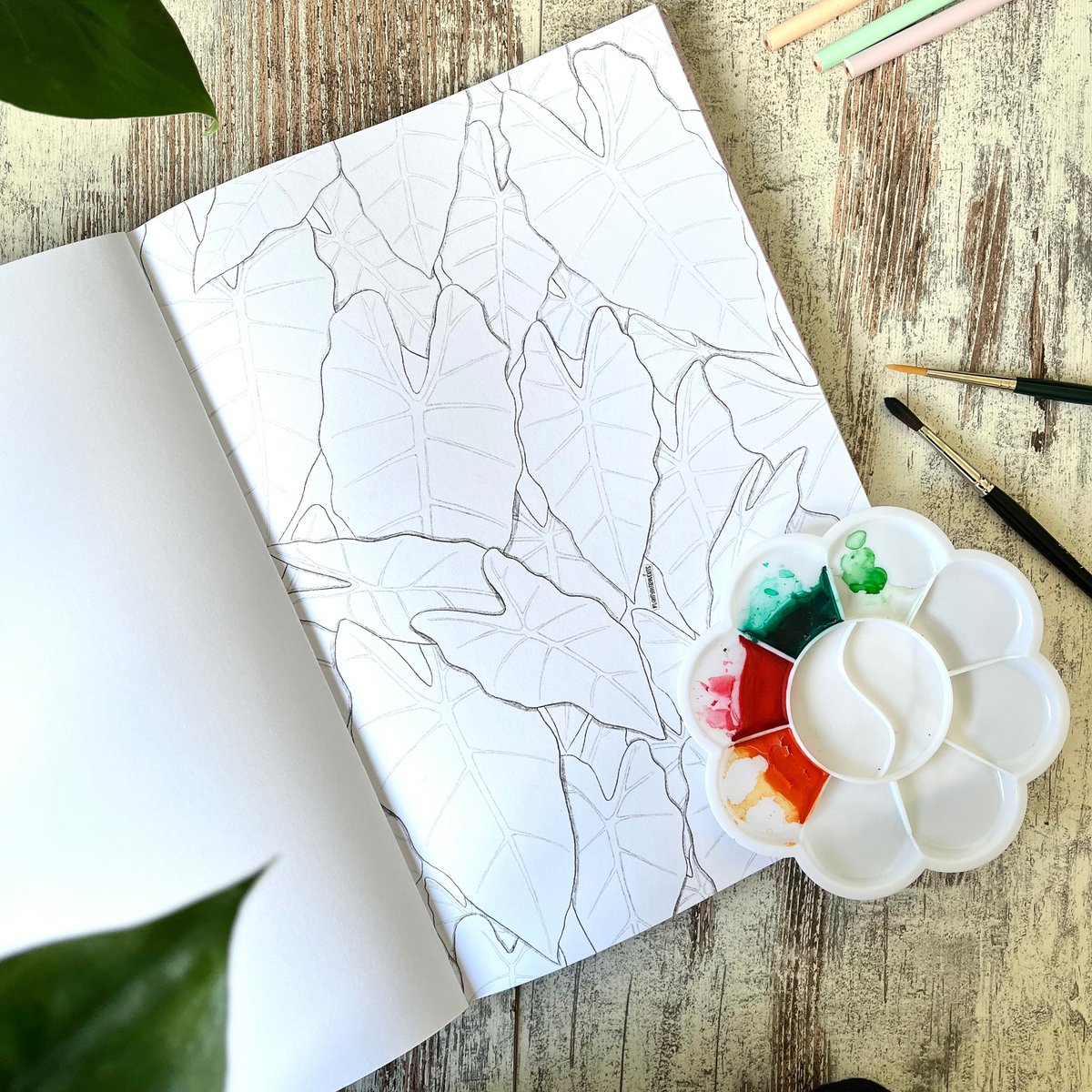 Coloring Book Houseplants