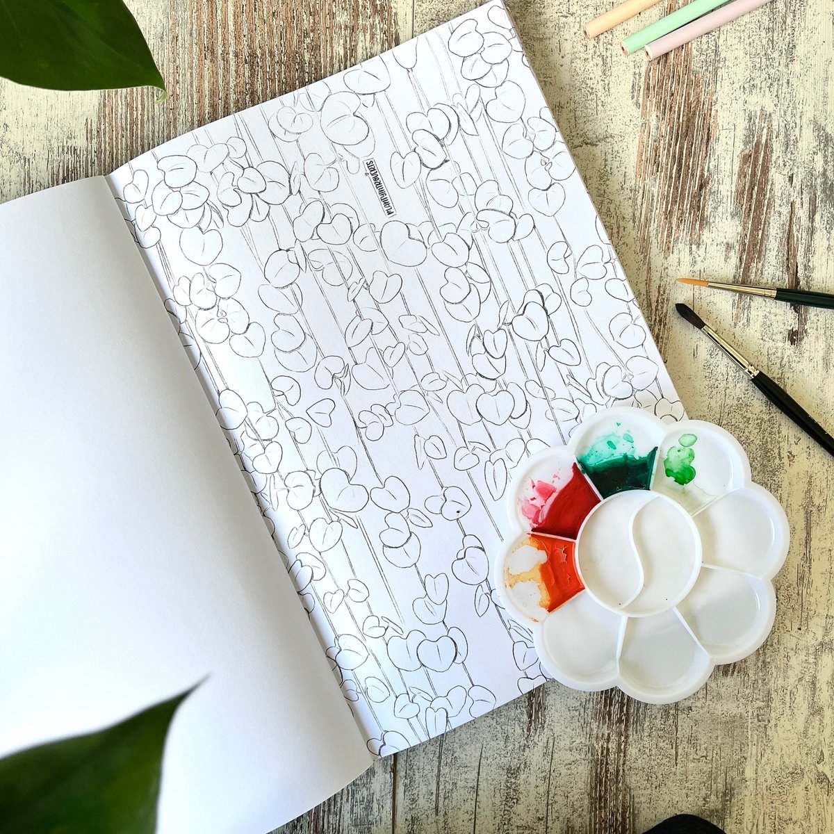 Coloring Book Houseplants