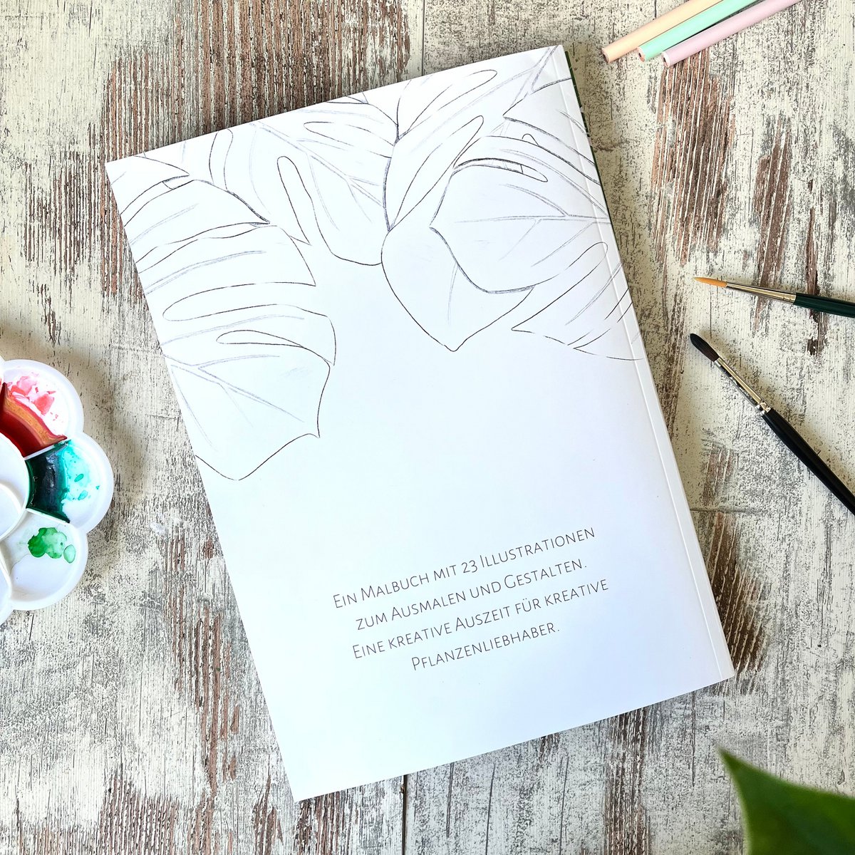 Coloring Book Plantlady