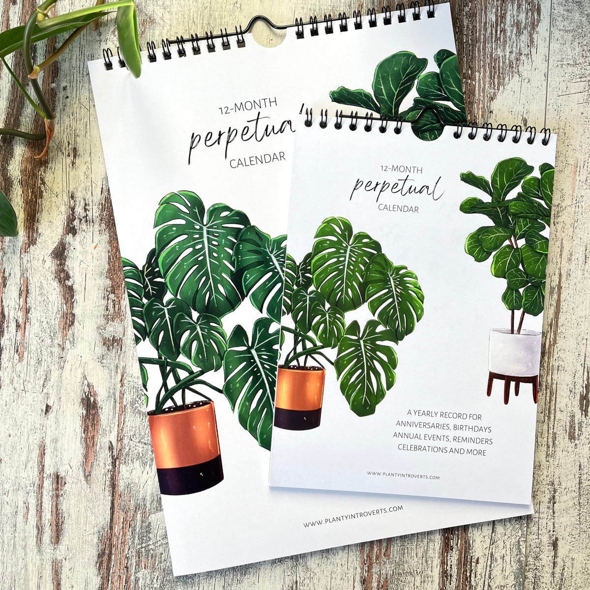 Calendar Green Plants