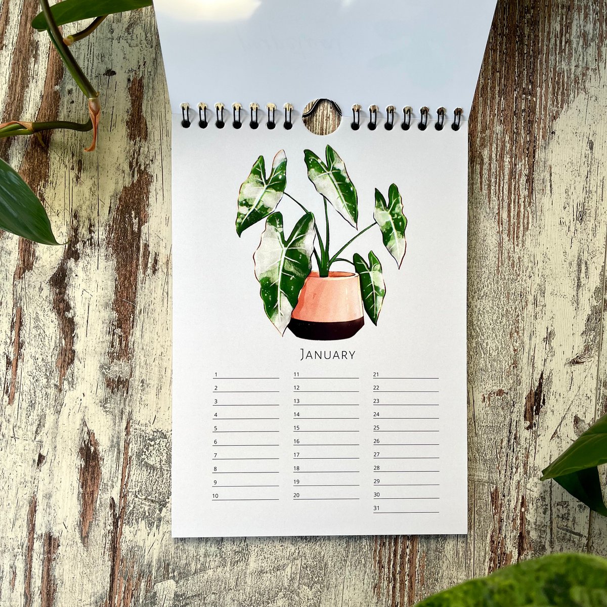 Calendar Green Plants