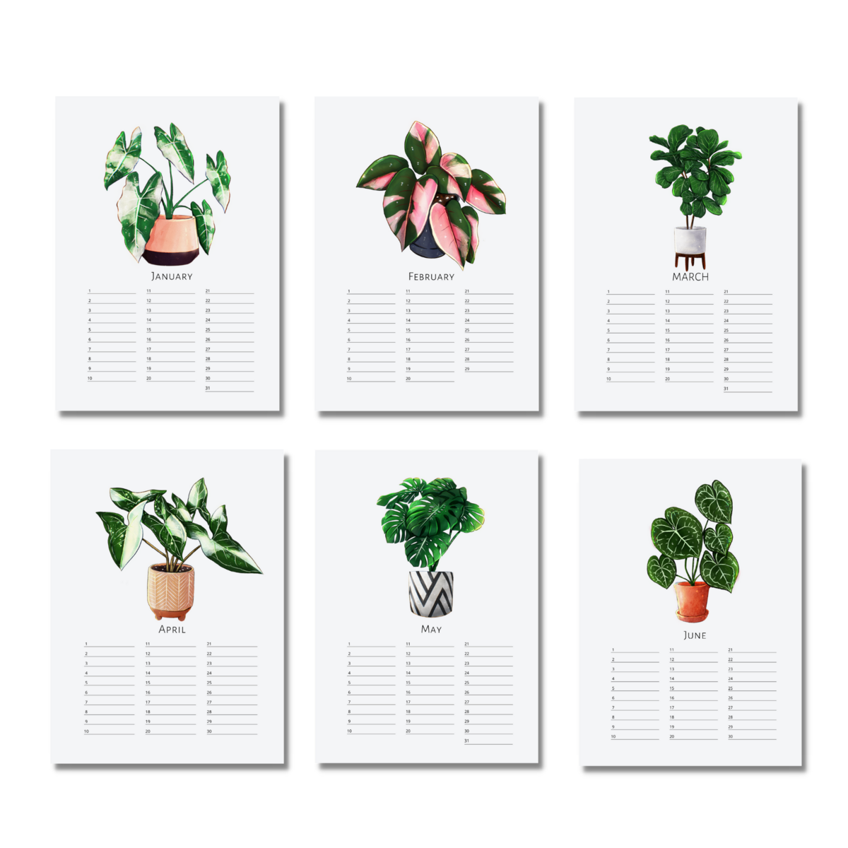 Calendar Green Plants