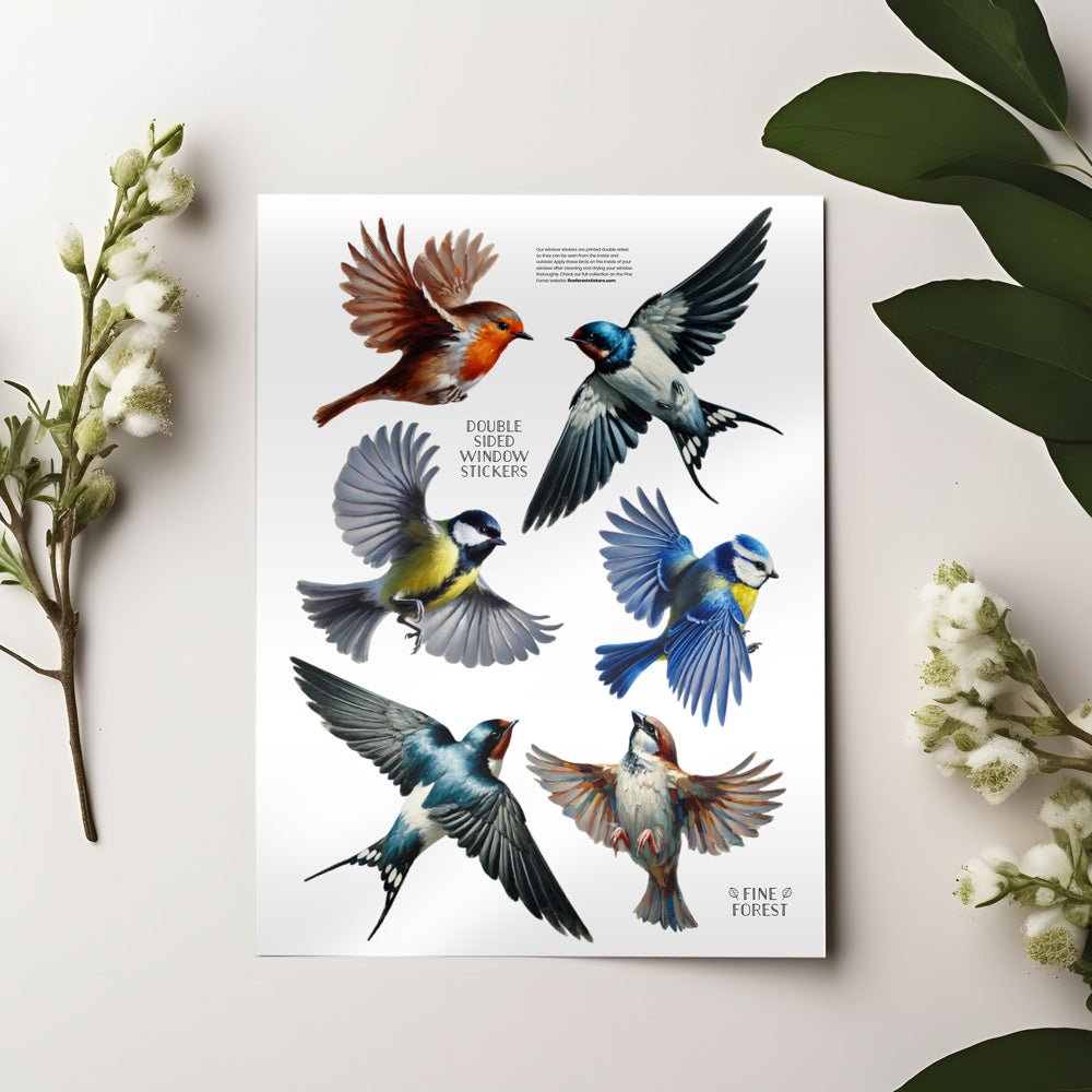 Raamstickers - Vogels