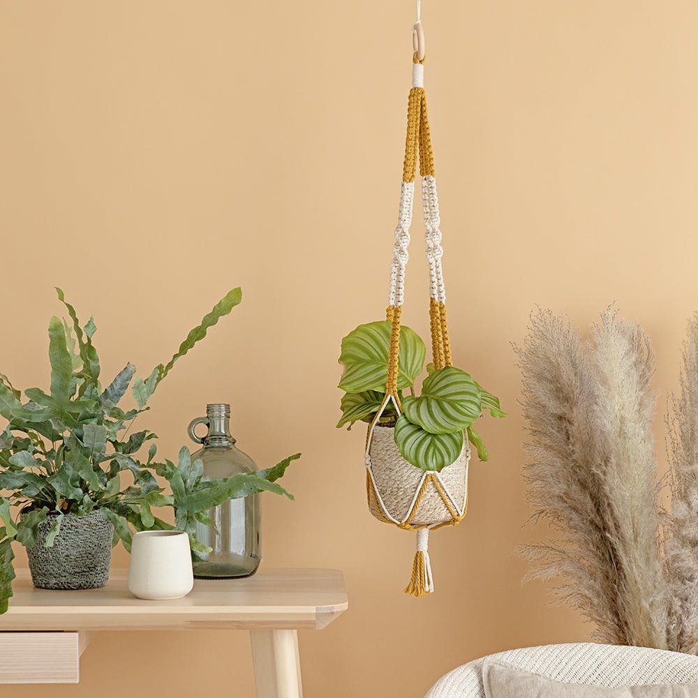 macramé kit - kasbah