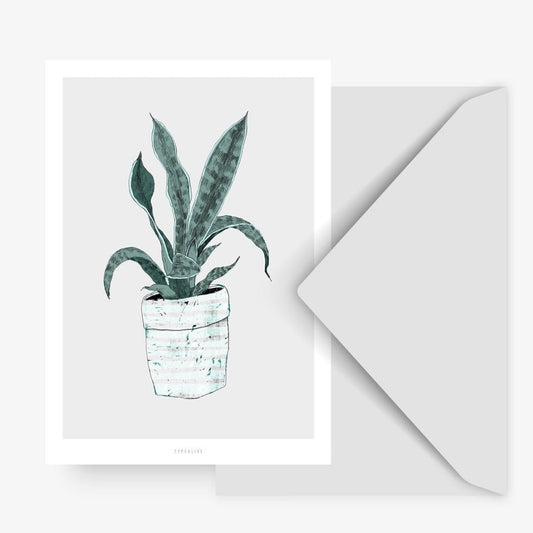 Kaartje - Wallplant No.2