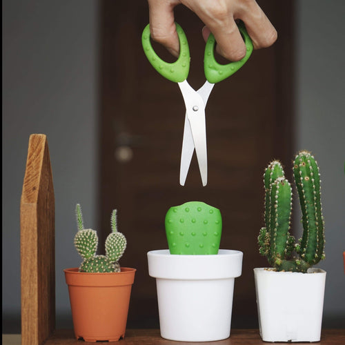 cactus schaar plant lovers plantenliefhebbers home office