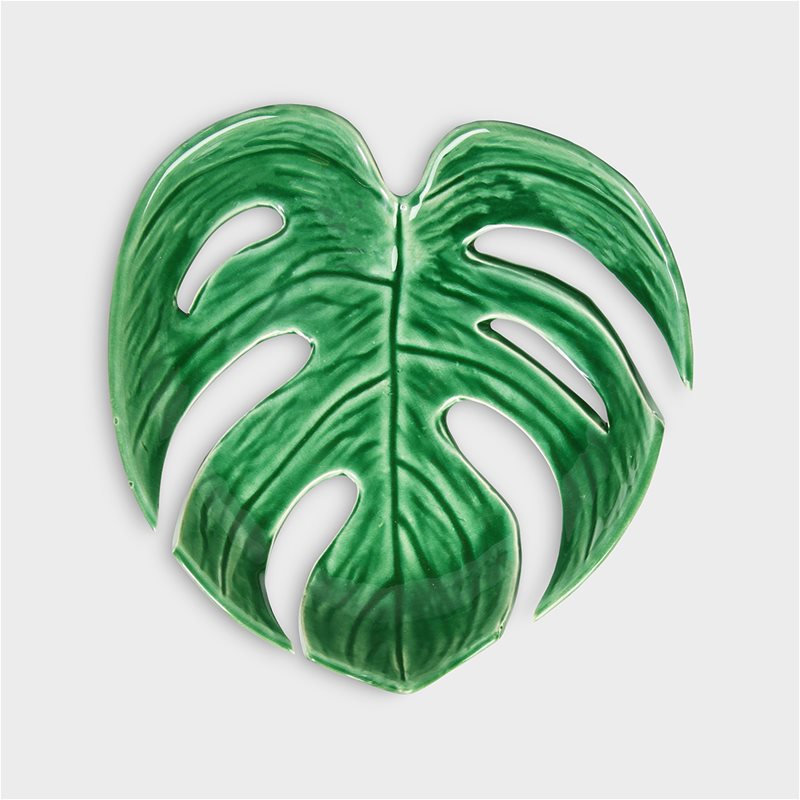 schaal blad bowl leaf
