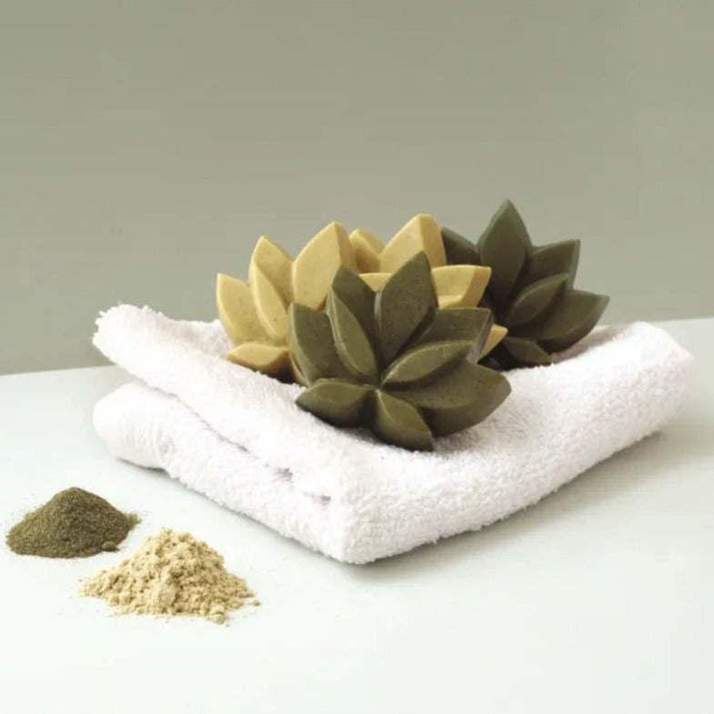 DIY Kit - Shampoo Bars