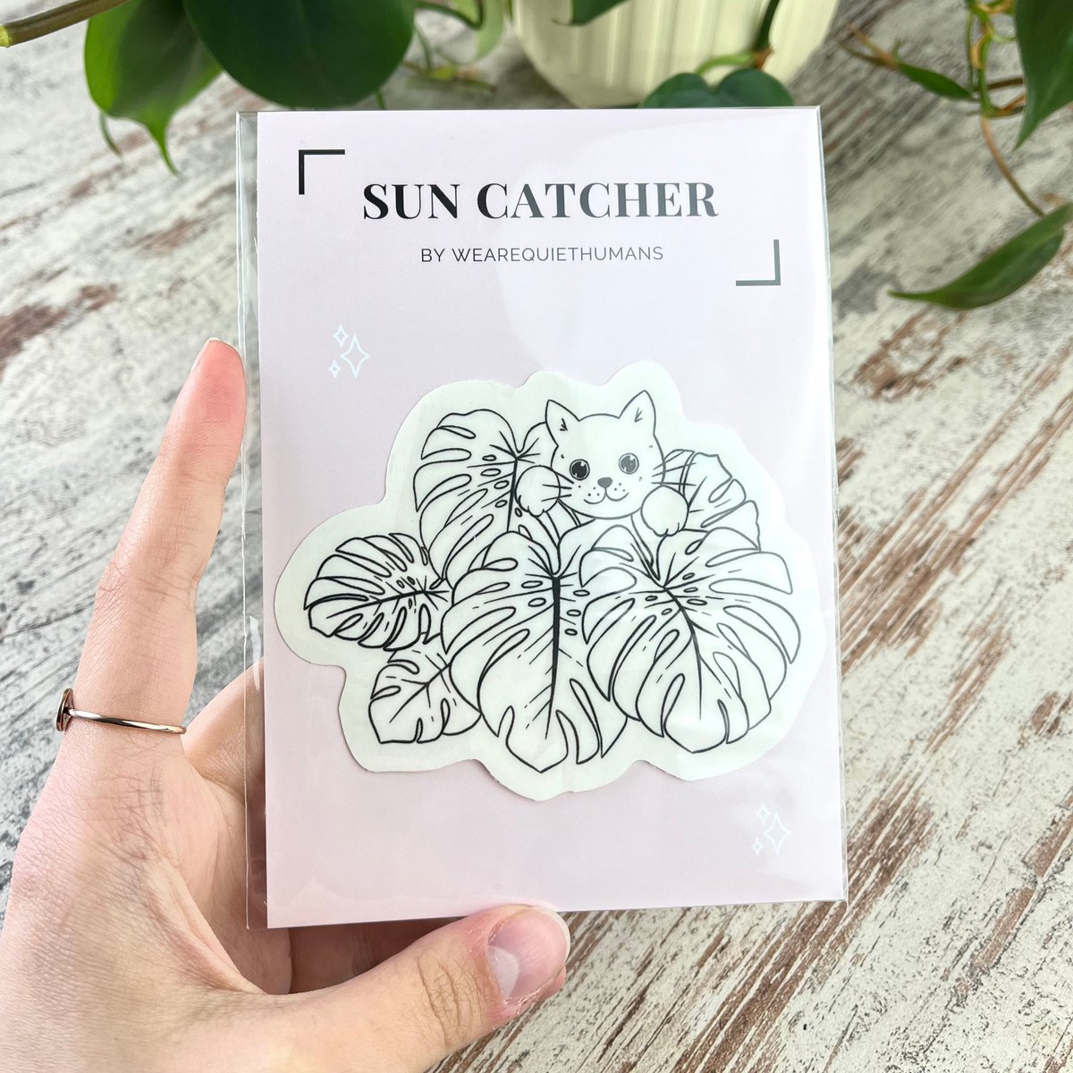 Rainbow Maker - Monstera With Cat