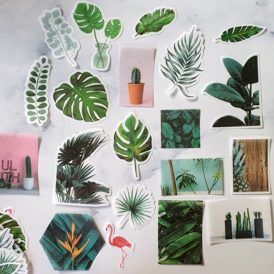 stickers planten plants plant love plantlovers plantenliefhebbers