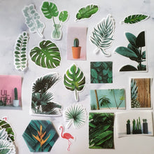 Load image into Gallery viewer, stickers planten plants plant love plantlovers plantenliefhebbers
