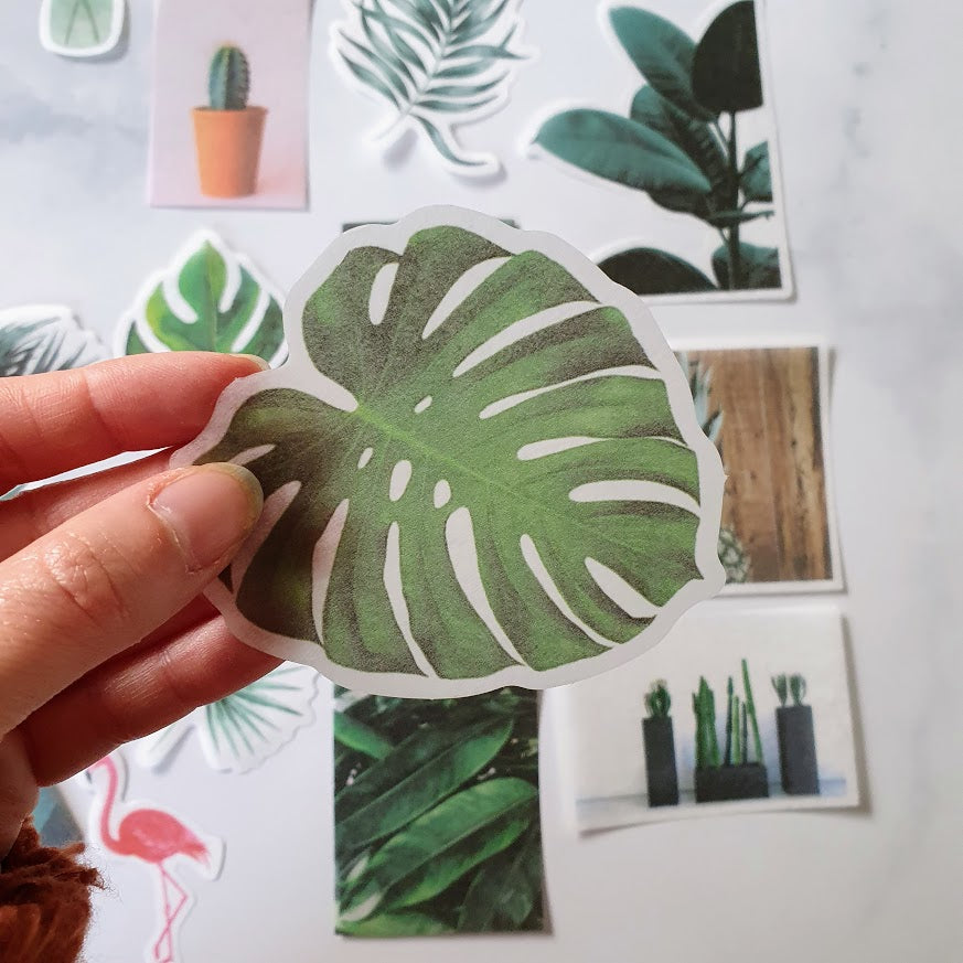 Sticker Set - XL