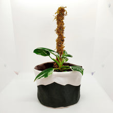 Load image into Gallery viewer, Plantswear - Horizon Botanic Black
