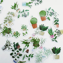 Load image into Gallery viewer, Sticker Set - Plants
