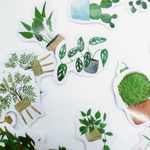 Load image into Gallery viewer, Sticker Set - Plants
